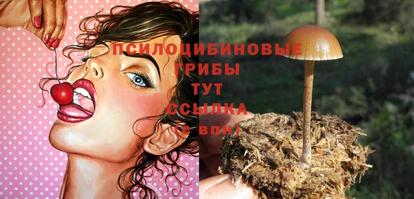 ECSTASY Арсеньев