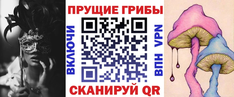 Псилоцибиновые грибы Psilocybe Пудож