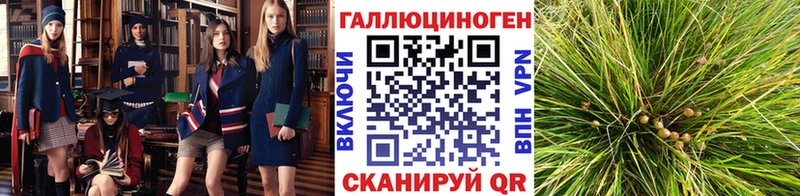 блэк спрут сайт  Пудож  Псилоцибиновые грибы Cubensis 